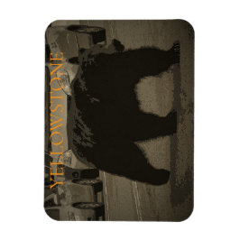 Beer in het nationale wegenpark WY Magneet