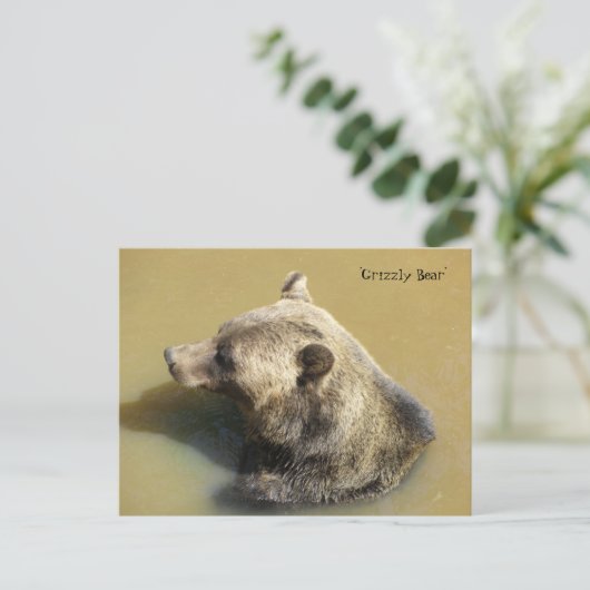 Beer in het water briefkaart (Staand voorkant)