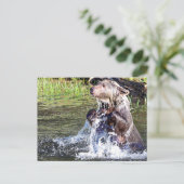 Beer in het water briefkaart (Staand voorkant)