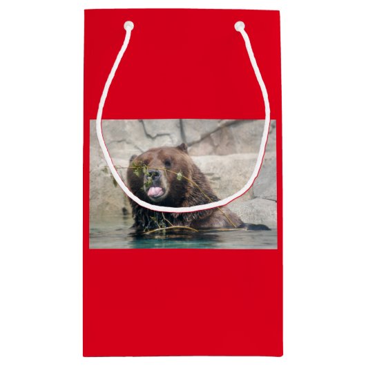 Beer in het water klein cadeauzakje (Achterkant)