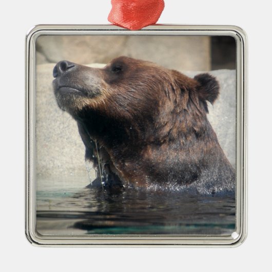 Beer in het water metalen ornament (Voorkant)