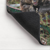 beer in rowboot muismat (Hoek)