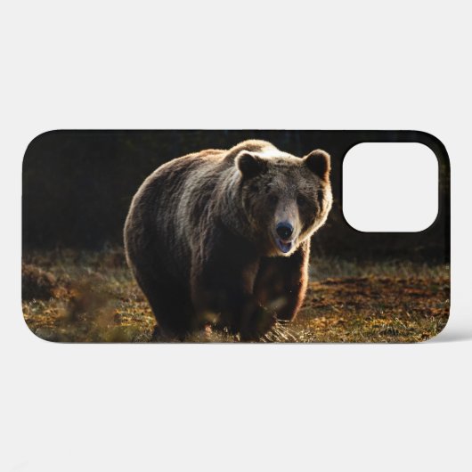 Beer iPhone 12 Hoesje (Achterkant (horizontaal))