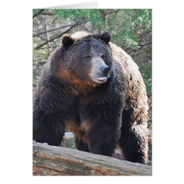 Beer-kaart (Voorkant)