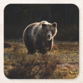 Beer Kartonnen Onderzetters (Voorkant)