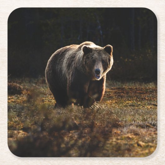 Beer Kartonnen Onderzetters (Voorkant)