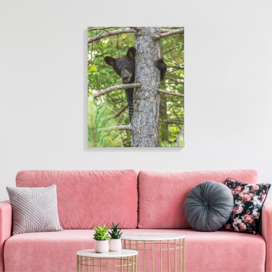 Beer klimboom canvas afdruk (Insitu (Woonkamer))