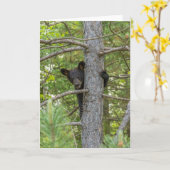 Beer klimboom kaart (Gele Bloem)