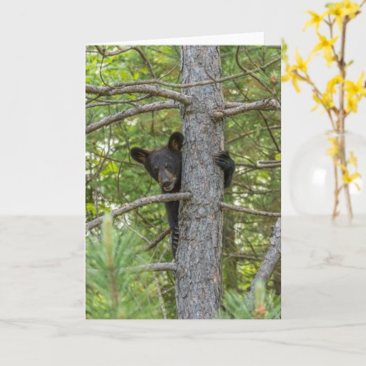 Beer klimboom kaart (Gele Bloem)