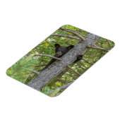 Beer klimboom magneet (Linkerzijde)