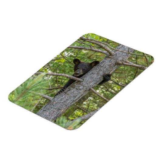 Beer klimboom magneet (Linkerzijde)