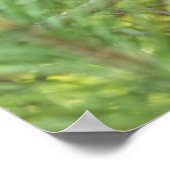 Beer klimboom poster (Hoek)