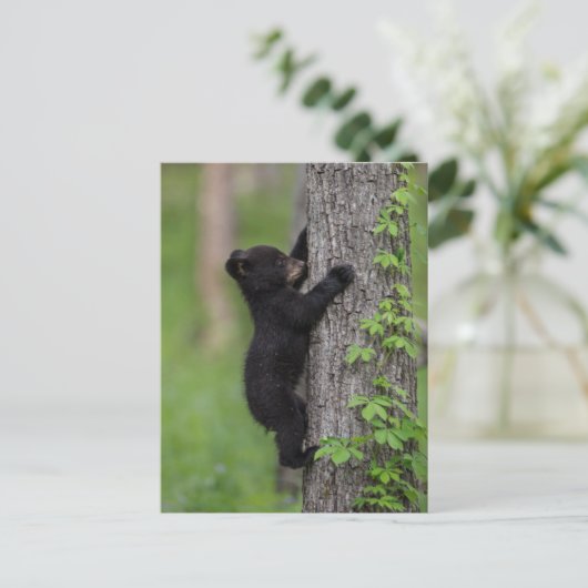 Beer klimmen een boom briefkaart (Staand voorkant)