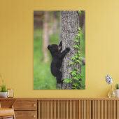 Beer klimmen een boom canvas afdruk (Insitu (Woonkamer))