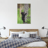 Beer klimmen een boom canvas afdruk (Insitu (Slaapkamer))