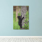 Beer klimmen een boom canvas afdruk (Insitu (Houten vloer))