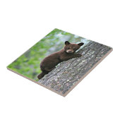 Beer klimmen een boom tegeltje (Zijkant)