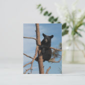 Beer knippen in een boom briefkaart (Staand voorkant)