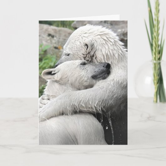 Beer knuffels vriendschap kaart (Voorkant)