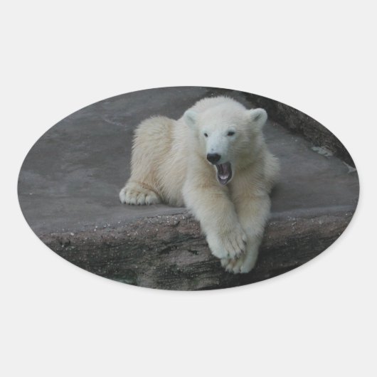 Beer kubusje van garen ovale sticker (Voorkant)