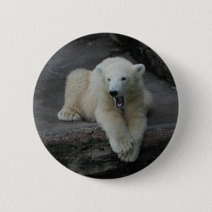 Beer kubusje van garen ronde button 5,7 cm