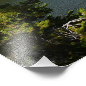 Beer Lake bij het Nationaal Park Rocky Mountain Foto Afdruk (Hoek)