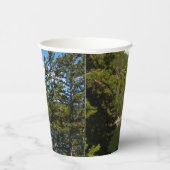 Beer Lake bij het Nationaal Park Rocky Mountain Papieren Bekers (Rechts)