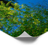Beer Lake bij het Nationaal Park Rocky Mountain Poster (Hoek)