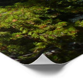 Beer Lake bij het Nationaal Park Rocky Mountain Poster (Hoek)