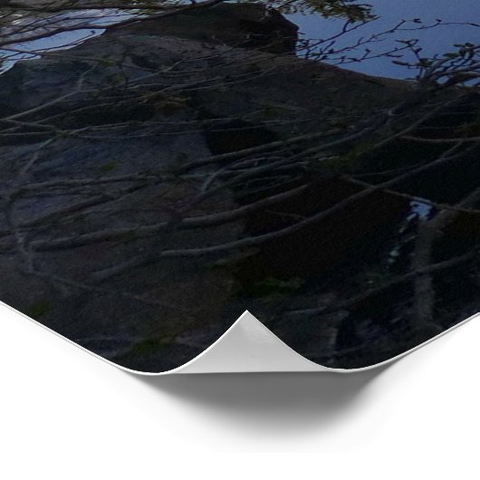 Beer Lake Reflection II Poster (Hoek)