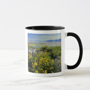 BEER LAKE, UT, US, apenbloem en tumbleweed, Mok