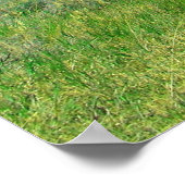 Beer Lake, Utah Poster (Hoek)