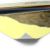 Beer lezen - poster (Hoek)