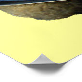 Beer lezen - poster (Hoek)