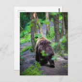 Beer loopt weg in het Bossen bos Briefkaart (Voorkant / Achterkant)