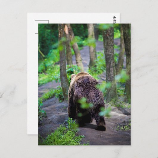 Beer loopt weg in het Bossen bos Briefkaart (Voorkant / Achterkant)