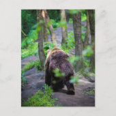 Beer loopt weg in het Bossen bos Briefkaart (Voorkant)