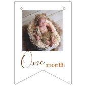 Beer Maandelijkse Foto eerste verjaardag Vlaggetjes (Derde vlag)