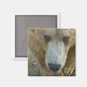 Beer Magneet (Voorkant / Achterkant)