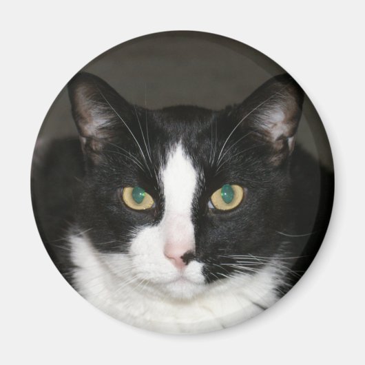 Beer Magneet (Voorkant)