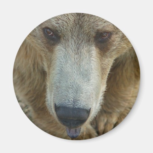 Beer Magneet (Voorkant)