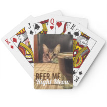 Beer me net Meow Funny Kitty Fotografie