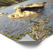 Beer meer Poster (Hoek)