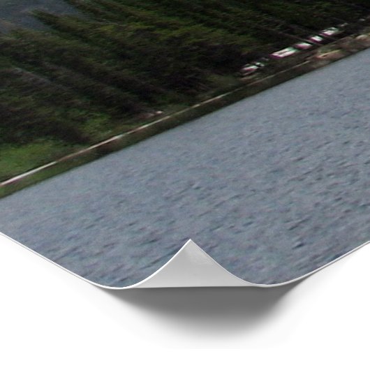 Beer meer poster (Hoek)