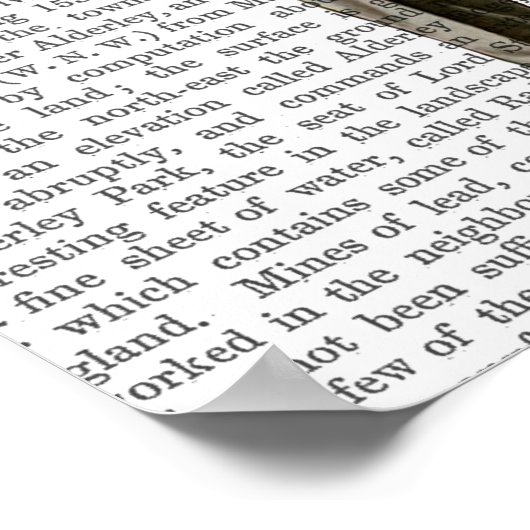 Beer met cocktail poster (Hoek)