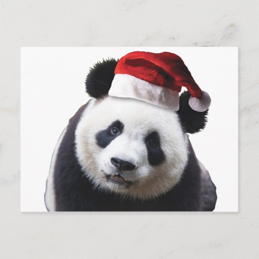Beer met Kerstmis Panda met Santa Hat Feestdagenkaart (Voorkant)