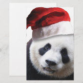 Beer met kerstpanda briefpapier (Voorkant / Achterkant)