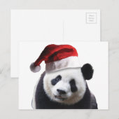 Beer met kerstpanda feestdagenkaart (Voorkant / Achterkant)
