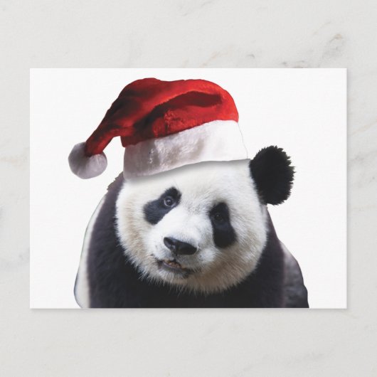 Beer met kerstpanda feestdagenkaart (Voorkant)