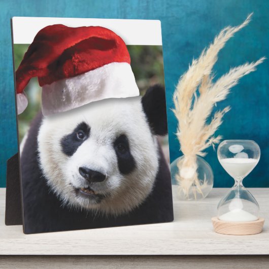 Beer met kerstpanda fotoplaat (Zijkant)